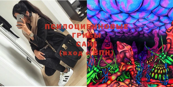MESCALINE Аркадак
