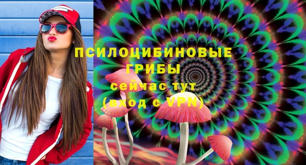 MESCALINE Аркадак