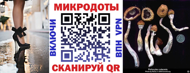 Галлюциногенные грибы Magic Shrooms  Суровикино 